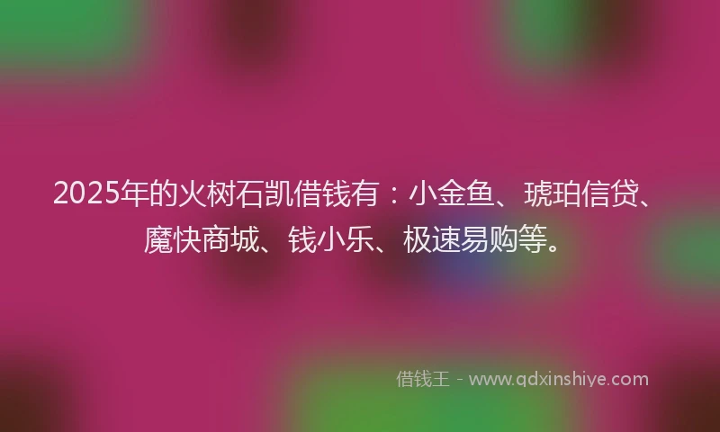 2025年的火树石凯借钱有：小金鱼、琥珀信贷、魔快商城、钱小乐、极速易购等。