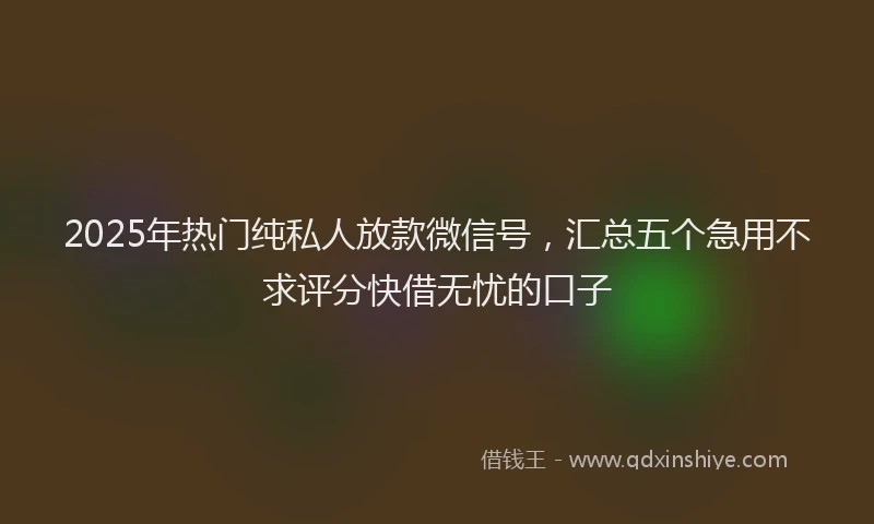 2025年热门纯私人放款微信号，汇总五个急用不求评分快借无忧的口子