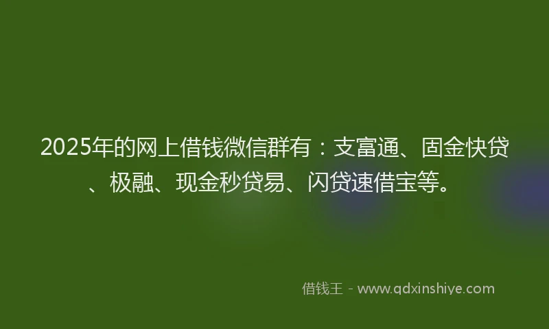 2025年的网上借钱微信群有：支富通、固金快贷、极融、现金秒贷易、闪贷速借宝等。