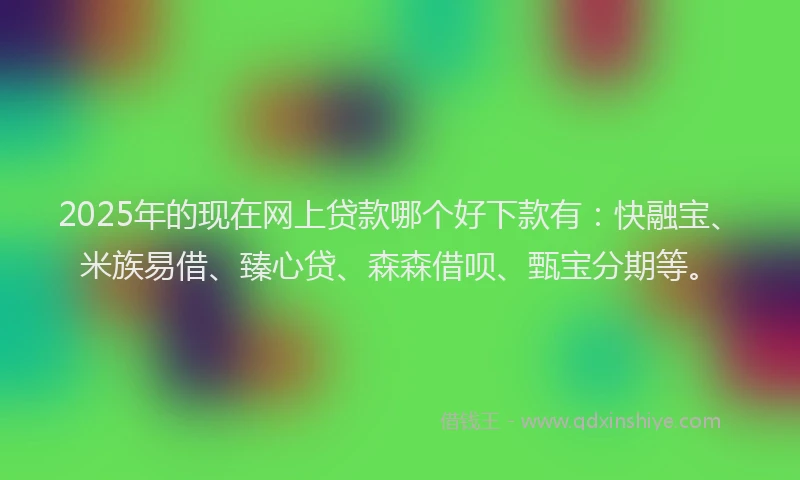2025年的现在网上贷款哪个好下款有：快融宝、米族易借、臻心贷、森森借呗、甄宝分期等。