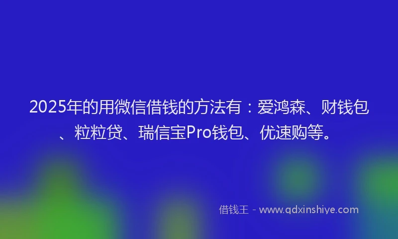 2025年的用微信借钱的方法有：爱鸿森、财钱包、粒粒贷、瑞信宝Pro钱包、优速购等。
