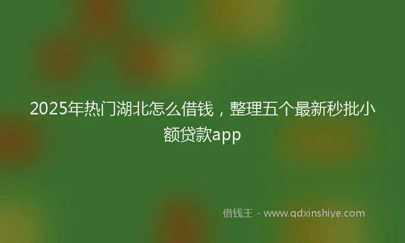 2025年热门湖北怎么借钱，整理五个最新秒批小额贷款app