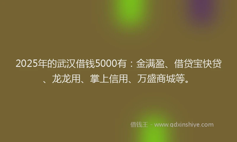 2025年的武汉借钱5000有：金满盈、借贷宝快贷、龙龙用、掌上信用、万盛商城等。