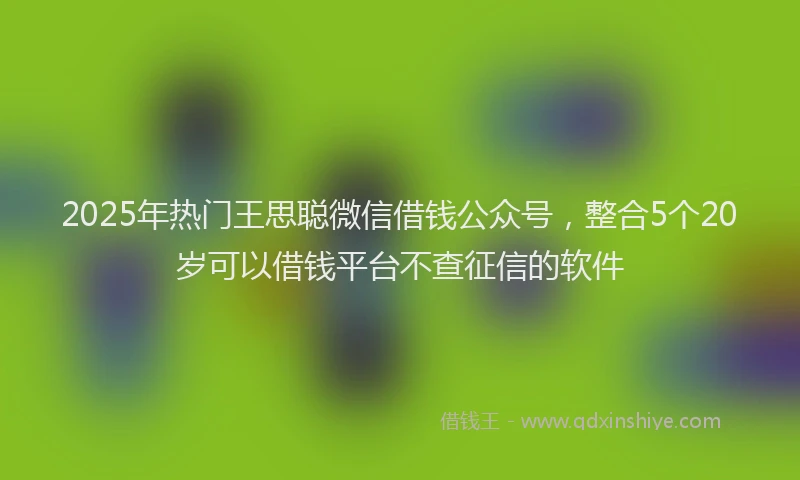 2025年热门王思聪微信借钱公众号，整合5个20岁可以借钱平台不查征信的软件