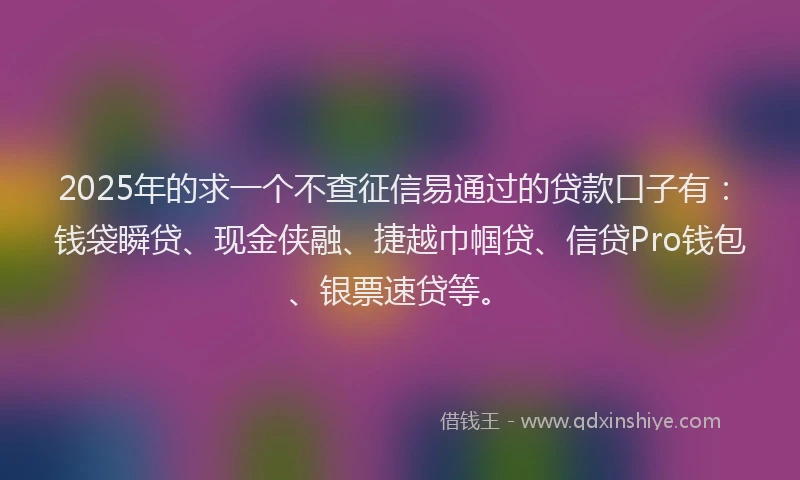 2025年的求一个不查征信易通过的贷款口子有：钱袋瞬贷、现金侠融、捷越巾帼贷、信贷Pro钱包、银票速贷等。