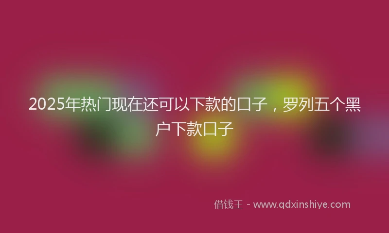 2025年热门现在还可以下款的口子，罗列五个黑户下款口子