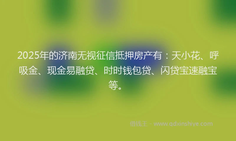 2025年的济南无视征信抵押房产有：天小花、呼吸金、现金易融贷、时时钱包贷、闪贷宝速融宝等。