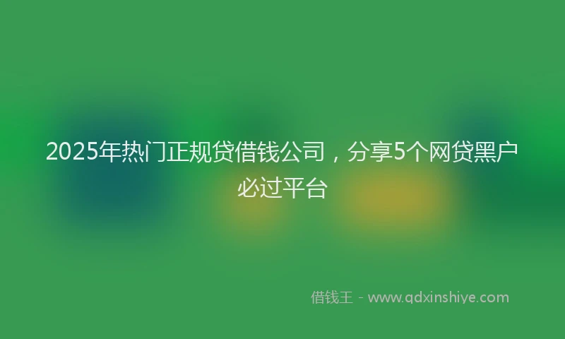 2025年热门正规贷借钱公司，分享5个网贷黑户必过平台