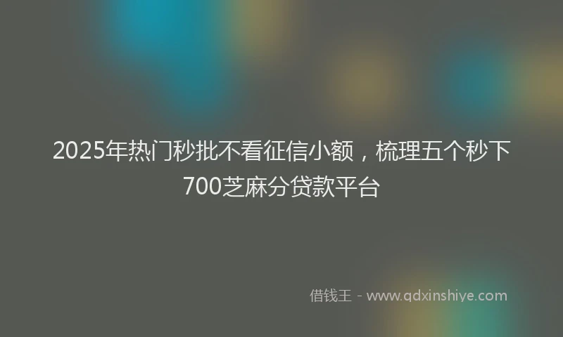 2025年热门秒批不看征信小额，梳理五个秒下700芝麻分贷款平台