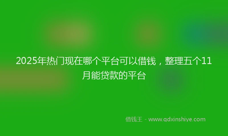 2025年热门现在哪个平台可以借钱，整理五个11月能贷款的平台