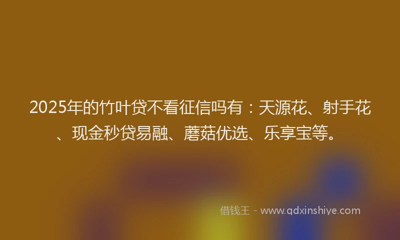 2025年的竹叶贷不看征信吗有：天源花、射手花、现金秒贷易融、蘑菇优选、乐享宝等。