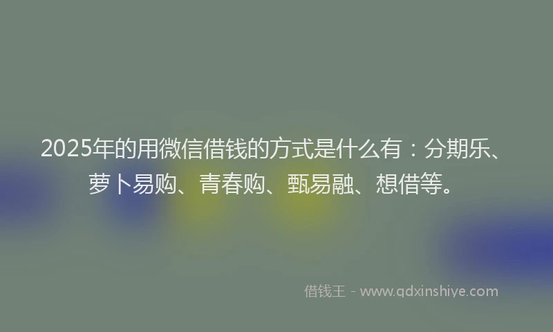 2025年的用微信借钱的方式是什么有：分期乐、萝卜易购、青春购、甄易融、想借等。