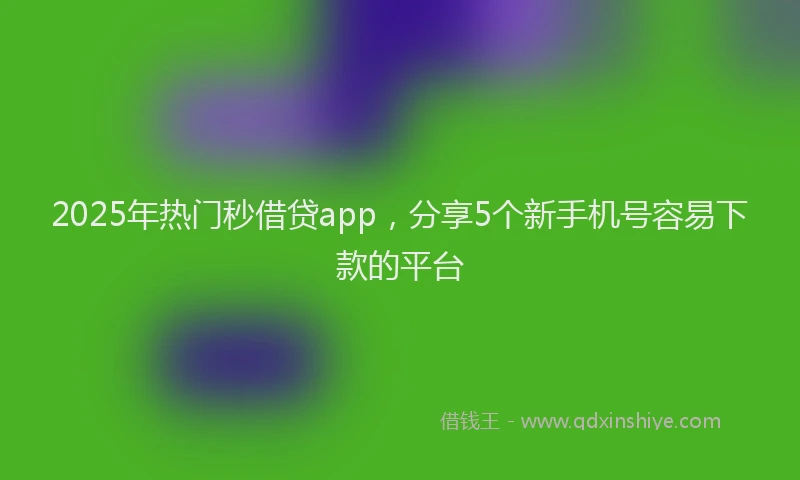 2025年热门秒借贷app，分享5个新手机号容易下款的平台