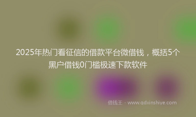 2025年热门看征信的借款平台微借钱，概括5个黑户借钱0门槛极速下款软件