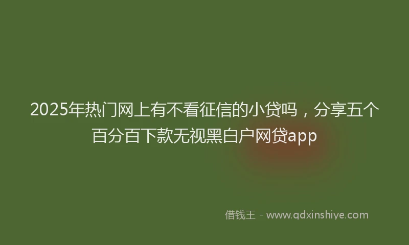 2025年热门网上有不看征信的小贷吗，分享五个百分百下款无视黑白户网贷app
