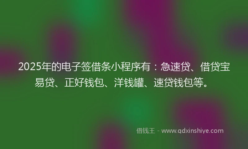 2025年的电子签借条小程序有：急速贷、借贷宝易贷、正好钱包、洋钱罐、速贷钱包等。