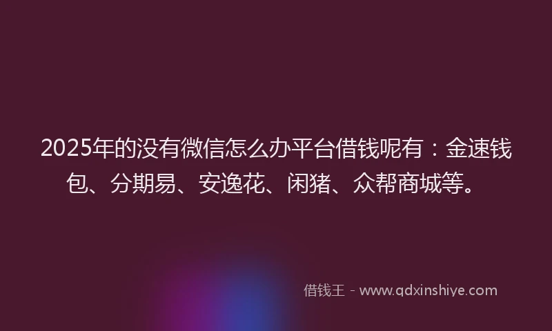 2025年的没有微信怎么办平台借钱呢有：金速钱包、分期易、安逸花、闲猪、众帮商城等。