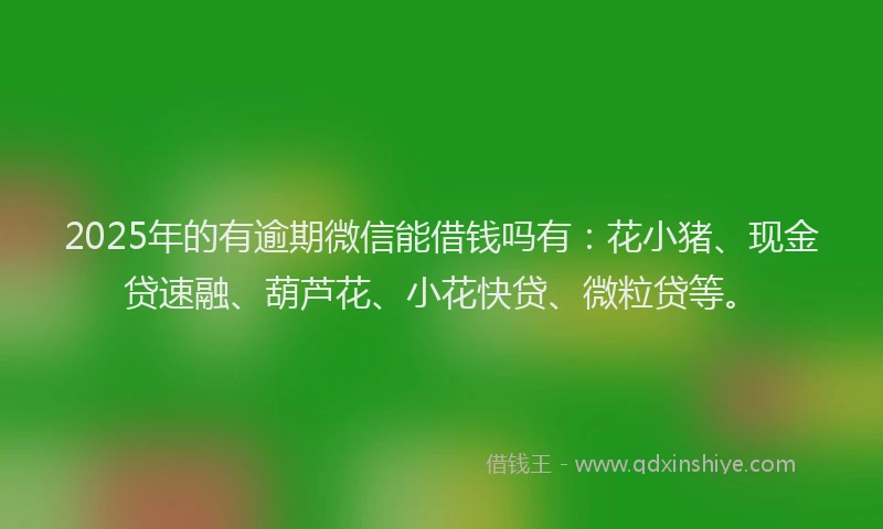 2025年的有逾期微信能借钱吗有：花小猪、现金贷速融、葫芦花、小花快贷、微粒贷等。