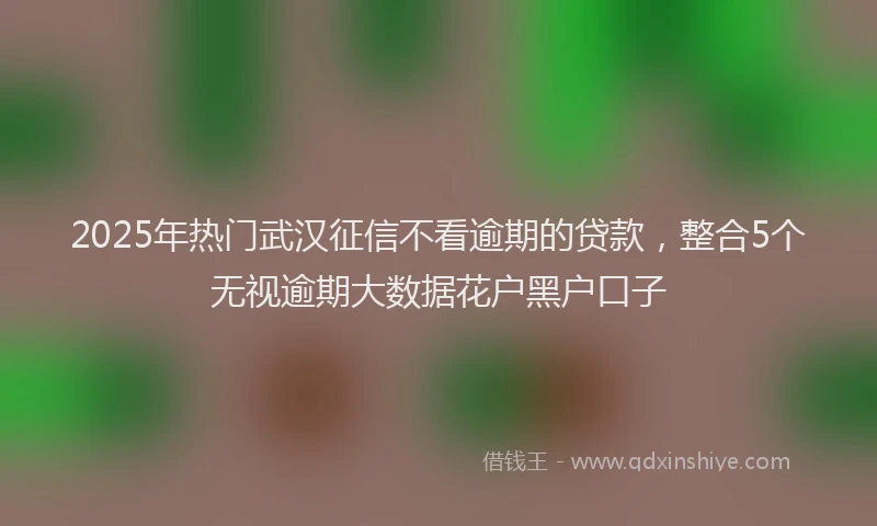 2025年热门武汉征信不看逾期的贷款，整合5个无视逾期大数据花户黑户口子