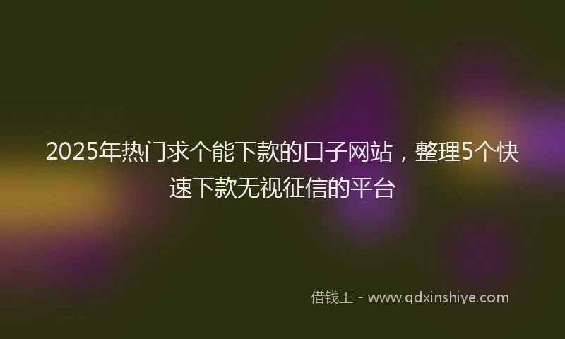 2025年热门求个能下款的口子网站，整理5个快速下款无视征信的平台