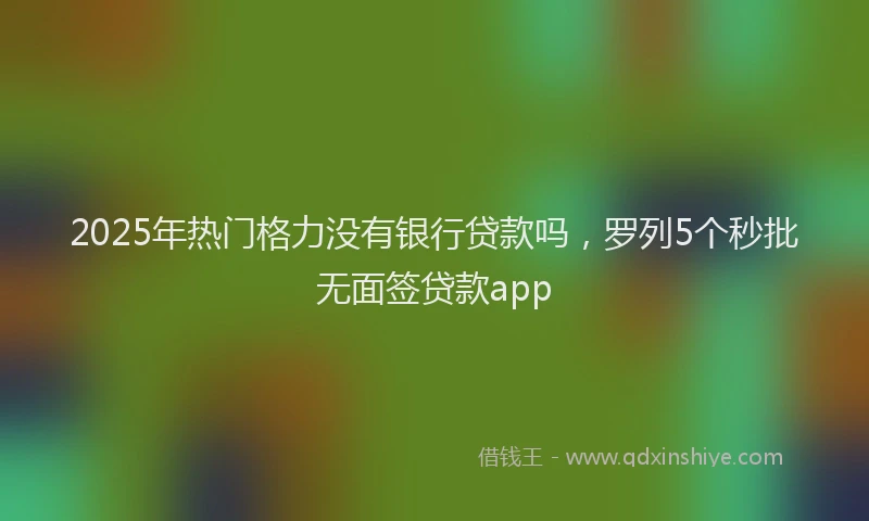 2025年热门格力没有银行贷款吗，罗列5个秒批无面签贷款app
