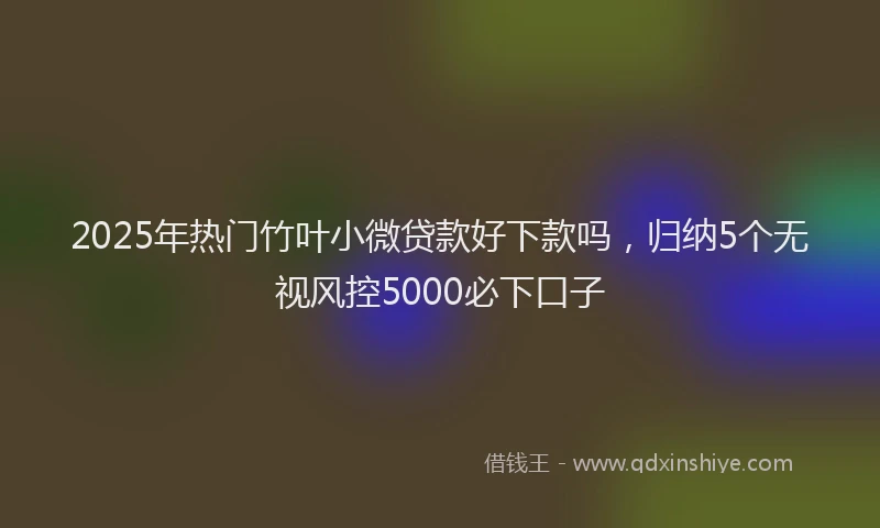 2025年热门竹叶小微贷款好下款吗，归纳5个无视风控5000必下口子