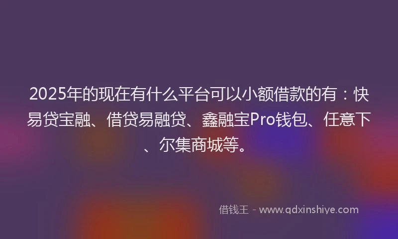 2025年的现在有什么平台可以小额借款的有：快易贷宝融、借贷易融贷、鑫融宝Pro钱包、任意下、尔集商城等。