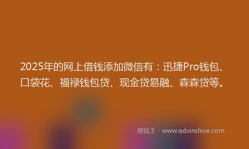 2025年的网上借钱添加微信有：迅捷Pro钱包、口袋花、福禄钱包贷、现金贷易融、森森贷等。