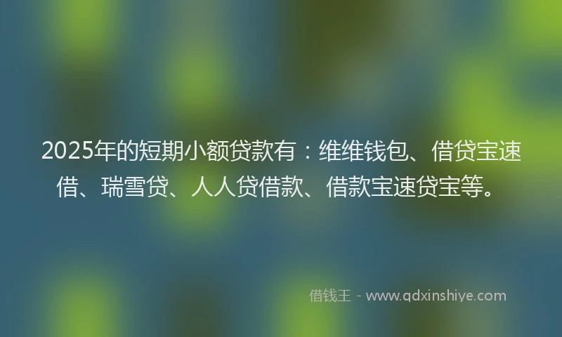 2025年的短期小额贷款有：维维钱包、借贷宝速借、瑞雪贷、人人贷借款、借款宝速贷宝等。