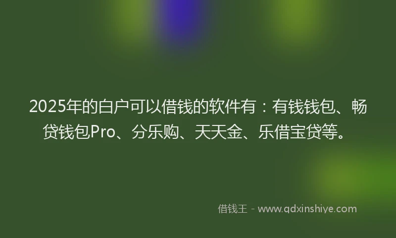 2025年的白户可以借钱的软件有：有钱钱包、畅贷钱包Pro、分乐购、天天金、乐借宝贷等。