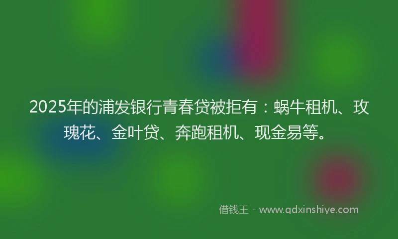 2025年的浦发银行青春贷被拒有：蜗牛租机、玫瑰花、金叶贷、奔跑租机、现金易等。