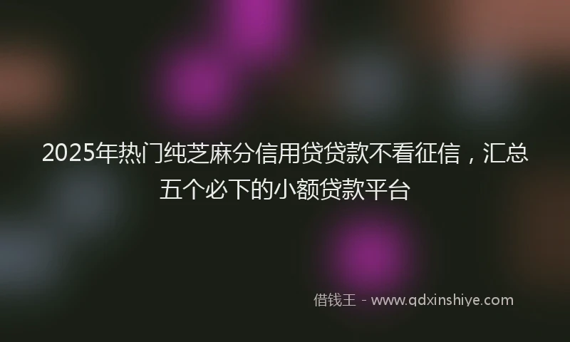 2025年热门纯芝麻分信用贷贷款不看征信，汇总五个必下的小额贷款平台