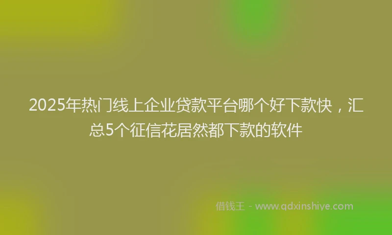 2025年热门线上企业贷款平台哪个好下款快，汇总5个征信花居然都下款的软件