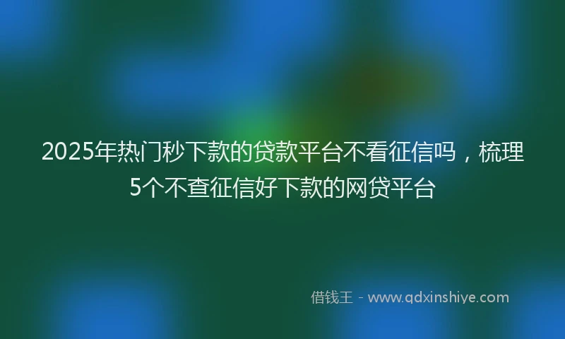 2025年热门秒下款的贷款平台不看征信吗，梳理5个不查征信好下款的网贷平台