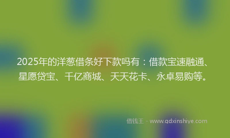 2025年的洋葱借条好下款吗有：借款宝速融通、星愿贷宝、千亿商城、天天花卡、永卓易购等。