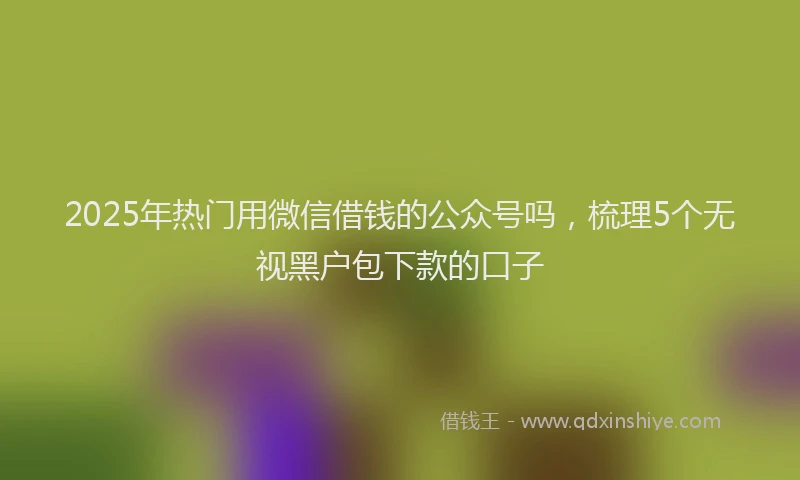 2025年热门用微信借钱的公众号吗，梳理5个无视黑户包下款的口子