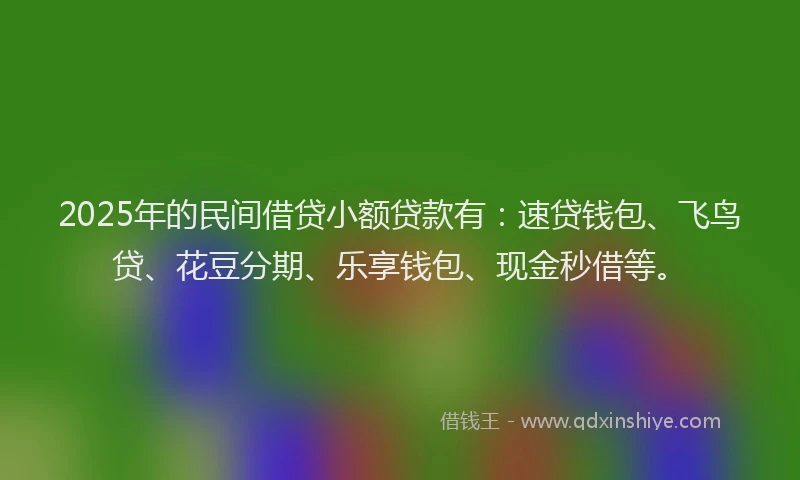 2025年的民间借贷小额贷款有：速贷钱包、飞鸟贷、花豆分期、乐享钱包、现金秒借等。