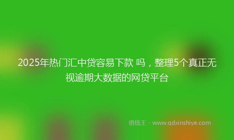 2025年热门汇中贷容易下款 吗，整理5个真正无视逾期大数据的网贷平台