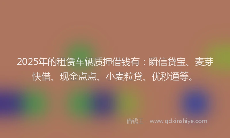 2025年的租赁车辆质押借钱有：瞬信贷宝、麦芽快借、现金点点、小麦粒贷、优秒通等。