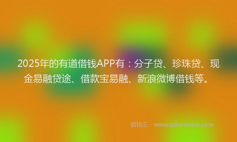 2025年的有道借钱APP有：分子贷、珍珠贷、现金易融贷途、借款宝易融、新浪微博借钱等。