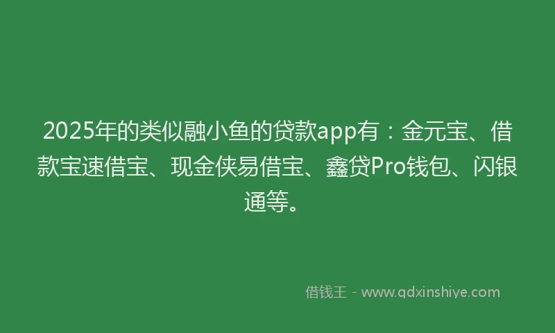 2025年的类似融小鱼的贷款app有：金元宝、借款宝速借宝、现金侠易借宝、鑫贷Pro钱包、闪银通等。