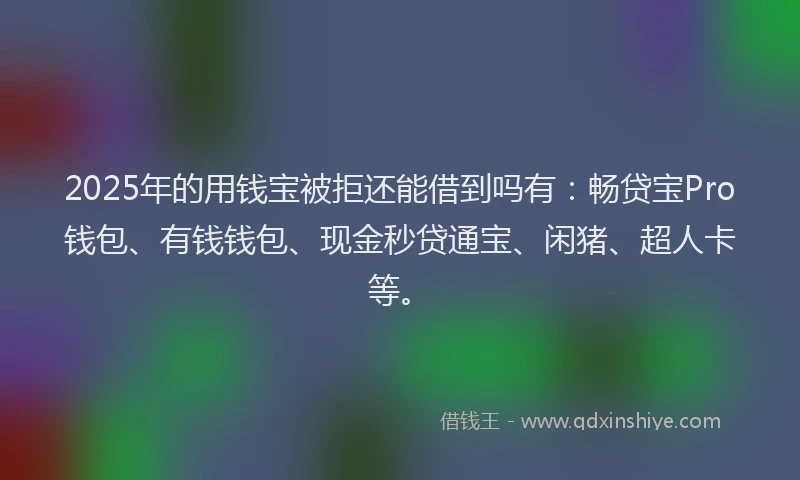 2025年的用钱宝被拒还能借到吗有：畅贷宝Pro钱包、有钱钱包、现金秒贷通宝、闲猪、超人卡等。