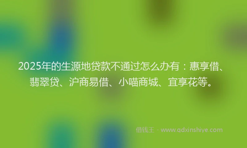 2025年的生源地贷款不通过怎么办有：惠享借、翡翠贷、沪商易借、小喵商城、宜享花等。