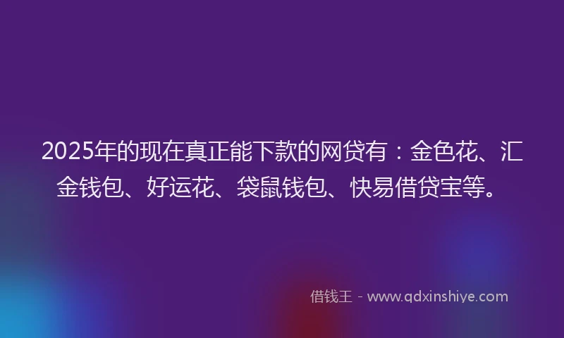 2025年的现在真正能下款的网贷有：金色花、汇金钱包、好运花、袋鼠钱包、快易借贷宝等。