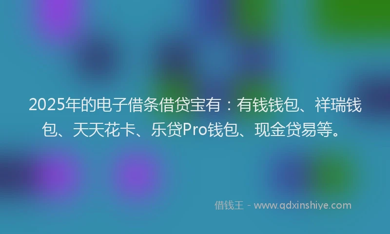 2025年的电子借条借贷宝有：有钱钱包、祥瑞钱包、天天花卡、乐贷Pro钱包、现金贷易等。
