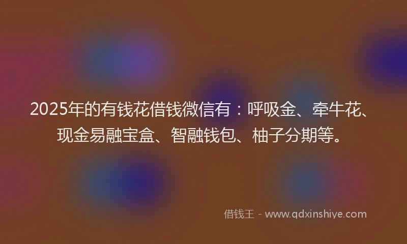 2025年的有钱花借钱微信有：呼吸金、牵牛花、现金易融宝盒、智融钱包、柚子分期等。