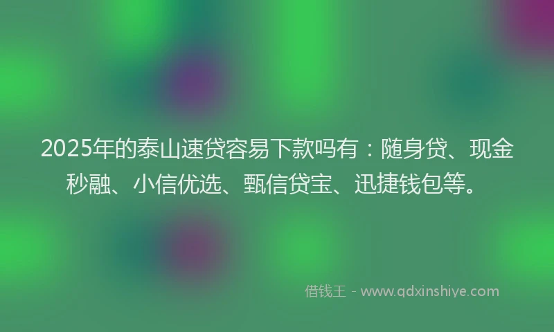 2025年的泰山速贷容易下款吗有：随身贷、现金秒融、小信优选、甄信贷宝、迅捷钱包等。