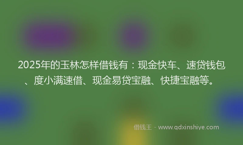 2025年的玉林怎样借钱有：现金快车、速贷钱包、度小满速借、现金易贷宝融、快捷宝融等。