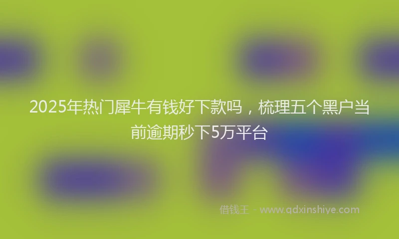 2025年热门犀牛有钱好下款吗，梳理五个黑户当前逾期秒下5万平台