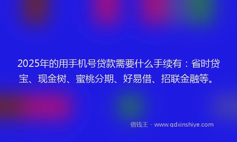2025年的用手机号贷款需要什么手续有：省时贷宝、现金树、蜜桃分期、好易借、招联金融等。